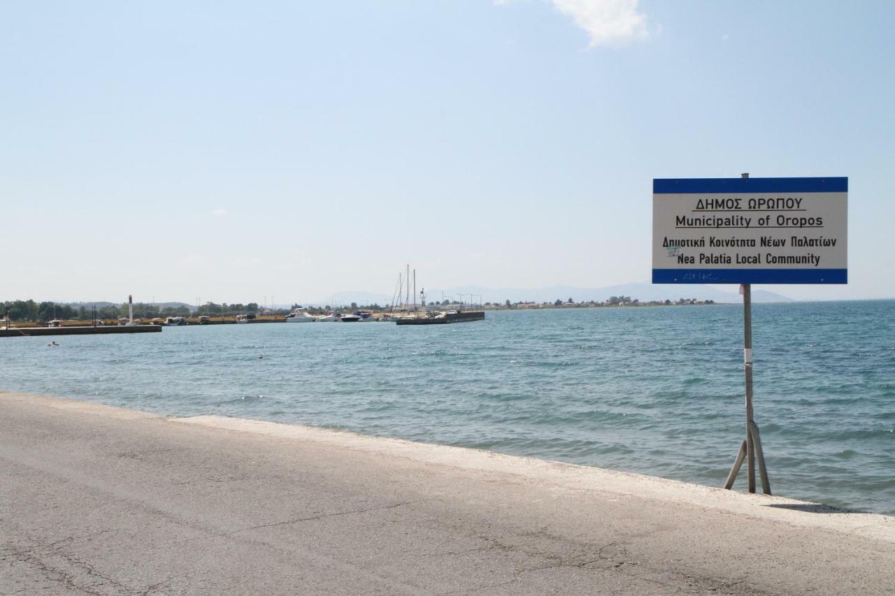 Katerina'S Villa Nea Palatia Exteriör bild